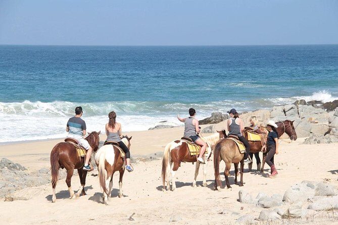 Cabo San Lucas Beach and Desert Horseback Ride - Desert-to-beach Cabo: what the experience feels like