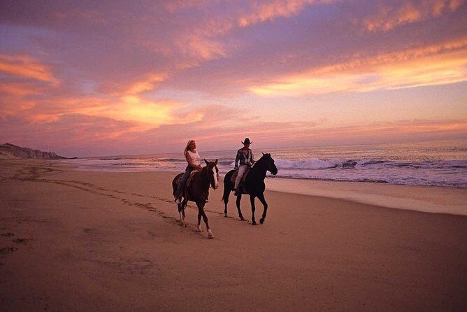 Cabo San Lucas Beach and Desert Horseback Ride - Getting there: meeting point, pickup timing, and why it affects your day