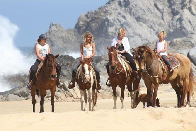 Cabo San Lucas Beach and Desert Horseback Ride - What to expect from the two-hour itinerary