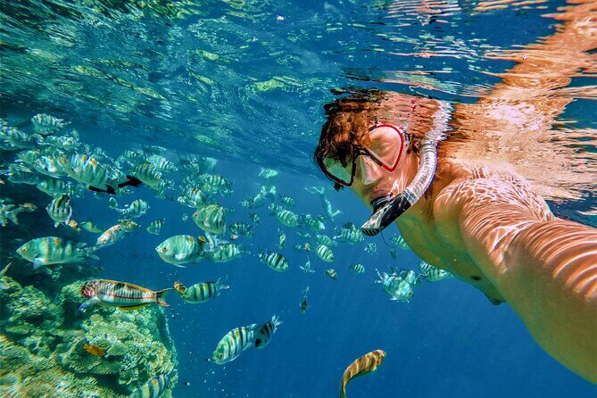 Cabo San Lucas Boat Tour with Snorkeling, Open Bar, and Lunch - What to pack for a 12:00 pm Cabo boat tour