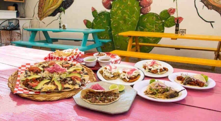 Cabo San Lucas: Cabo Foodie Grand Tour - The open-air terrace start and the Chef’s Choice sampler