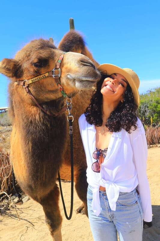 Cabo San Lucas: Camel Ride & Off-Road UTV Combo Adventure - Should you book the Cabo San Lucas Camel Ride & Off-Road UTV Combo?