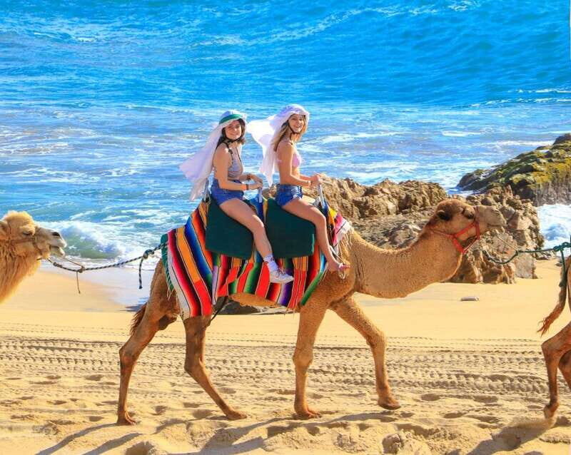Cabo San Lucas: Camel Ride & Off-Road UTV Combo Adventure - Price and the real cost: $118 plus the fees that can add up