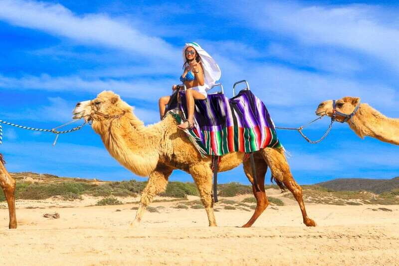 Cabo San Lucas: Camel Ride & Off-Road UTV Combo Adventure - Who should book this combo adventure in Cabo