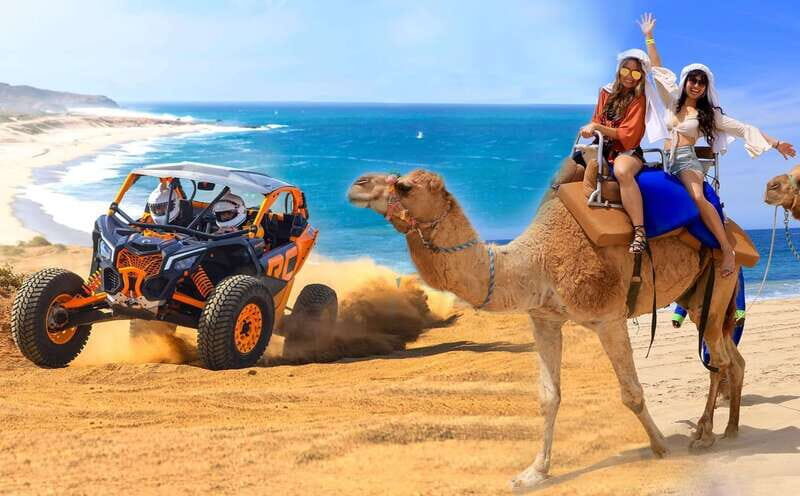 Cabo San Lucas: Camel Ride & Off-Road UTV Combo Adventure - Off-road UTV power: driving the Baja desert with a guide