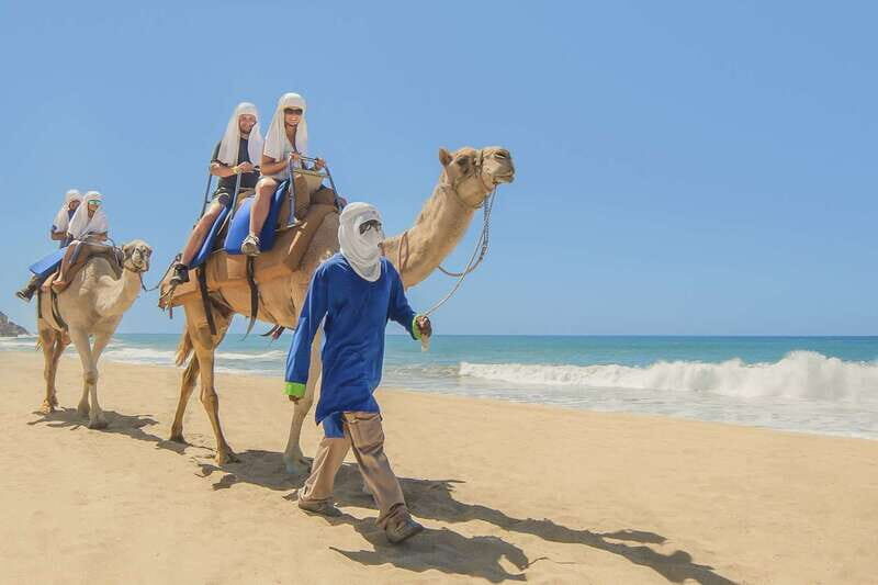 Cabo San Lucas: Camel Safari Tour with Lunch and Tequila - Key things I’d bet you’ll notice first