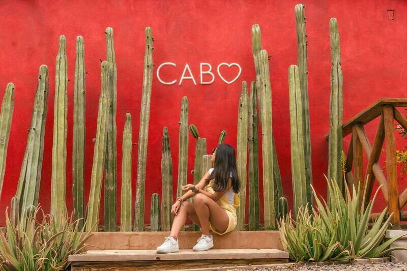 Cabo San Lucas: Camel Safari Tour with Lunch and Tequila - Cabo Safari Vibes: why this 3-hour mix makes sense