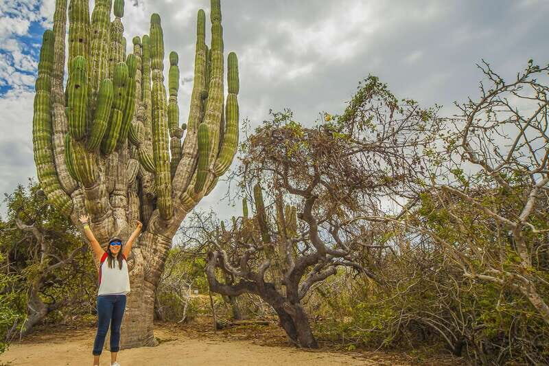 Cabo San Lucas: Camel Safari Tour with Lunch and Tequila - Price and extra costs: what $99 actually covers