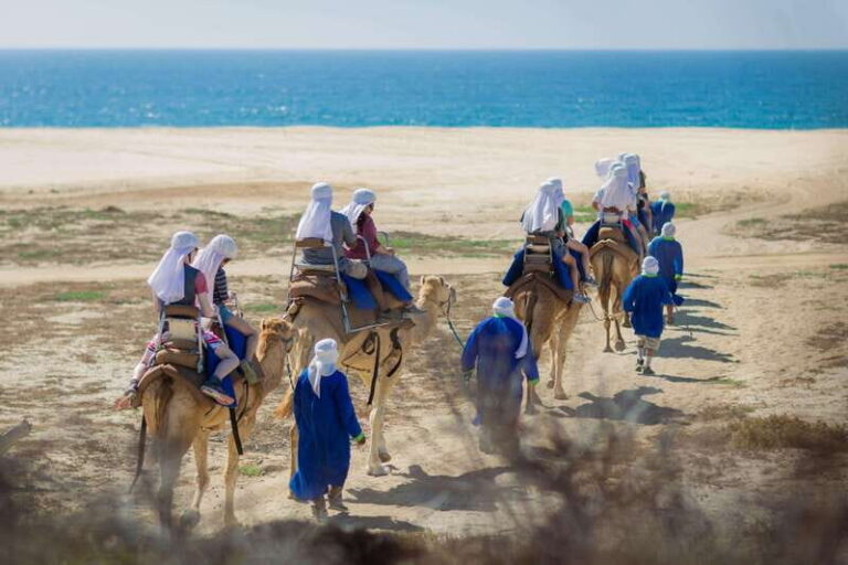 Cabo San Lucas: Camel Safari Tour with Lunch and Tequila - The drive from pickup: where 3 hours can feel longer