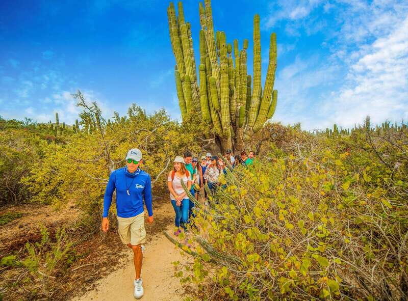 Cabo San Lucas: Camel Safari Tour with Lunch and Tequila - Who this tour is best for (and who should skip it)