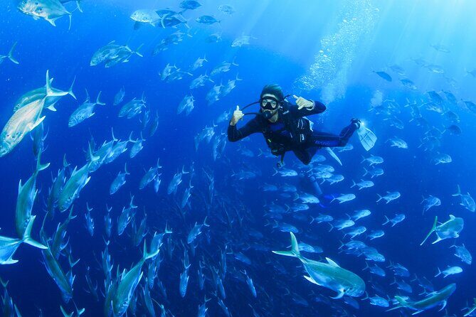 Cabo San Lucas Certified 2 Tank Dive at the Famous Arch and Land's End - Cabo San Lucas from Above: The Part You Don’t Want to Rush