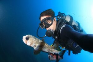Cabo San Lucas Certified 2 Tank Dive at the Famous Arch and Land's End - Two Tanks, Multiple Underwater Targets: What You’ll Be Looking For