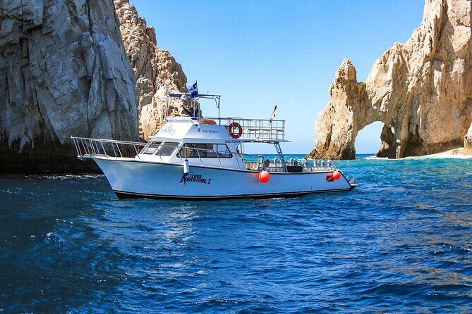 Cabo San Lucas Certified 2 Tank Dive at the Famous Arch and Land's End - Conditions and Visibility: How to Think About Clear Water and Sea Life