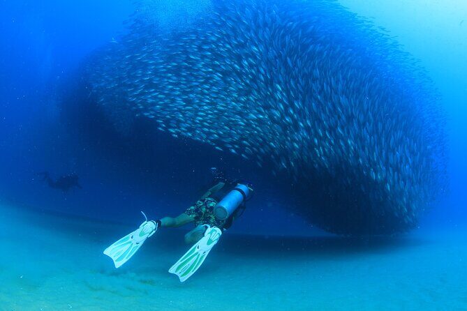 Cabo San Lucas Certified 2 Tank Dive at the Famous Arch and Land's End - What Gear and Paperwork Can Change on Your Day