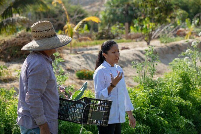 Cabo San Lucas Cooking Classes by Chef Ari - Price and Value at $125 Per Person