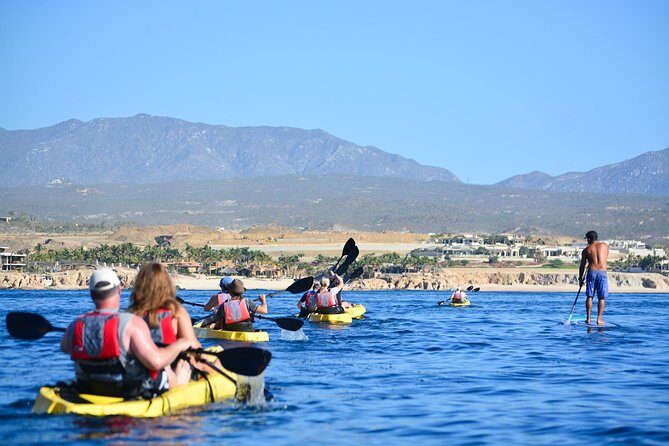 Cabo San Lucas Glass Bottom Kayak Tour and Snorkel at Two Bays - Stop 2: Chileno Bay for gentle waves and real coral variety