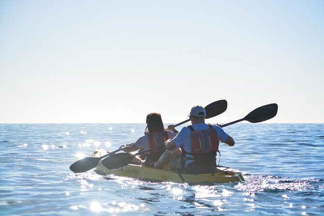 Cabo San Lucas Glass Bottom Kayak Tour and Snorkel at Two Bays - Who should book this Cabo San Lucas kayak + snorkel tour?