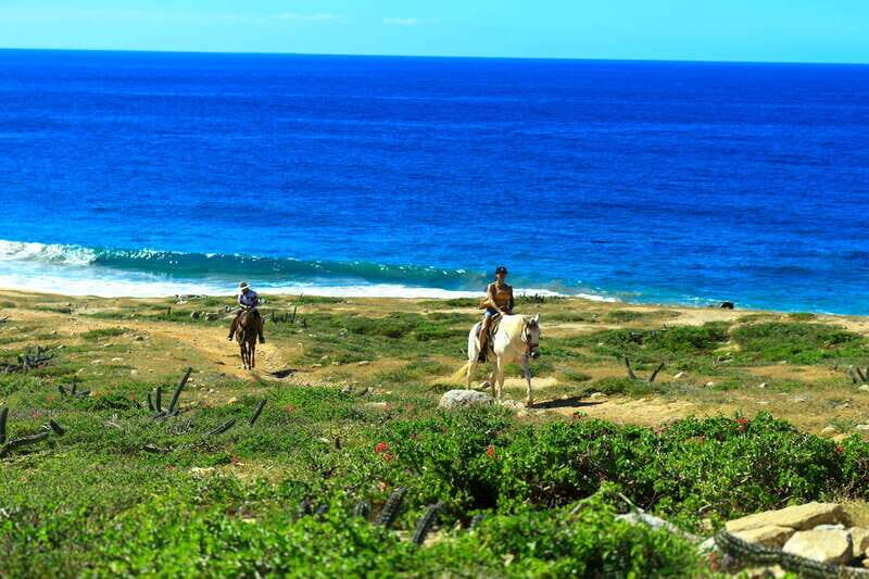 Cabo San Lucas: Horseback Riding in Migriño with Transfers - Why Migriño Horseback Riding Feels Different from Typical Cabo Tours