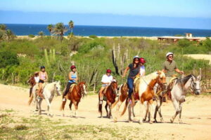 Cabo San Lucas: Horseback Riding in Migriño with Transfers - Getting There: Cabo Pickup, Van Ride, and What Time Feels Like