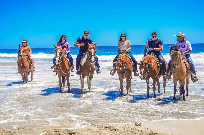 Cabo San Lucas: Horseback Riding in Migriño with Transfers - Riding the Sand and Desert: What You’ll Actually Feel on the Trail