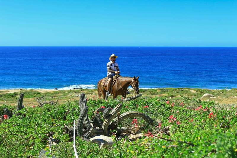 Cabo San Lucas: Horseback Riding in Migriño with Transfers - Tequila Tasting Back at the Ranch: A Fun Landing Point