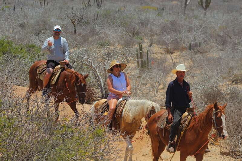 Cabo San Lucas: Horseback Riding in Migriño with Transfers - Who This Is Best For (and Who Should Skip It)