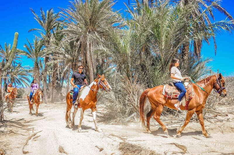 Cabo San Lucas: Horseback Riding in Migriño with Transfers - Guide Names and Small Service Details That Affect Your Day