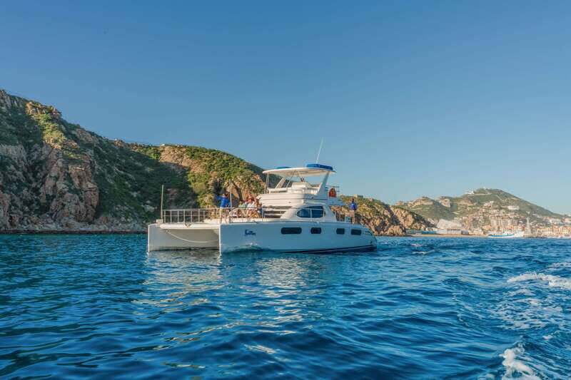 Cabo San Lucas: Luxury Catamaran Whale Watching Experience - Wildlife Bonuses: Dolphins, Manta Rays, Sea Turtles