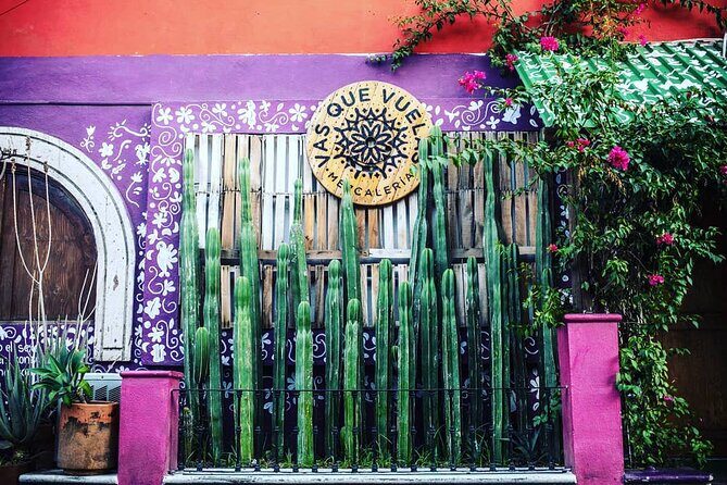 Cabo San Lucas Mezcal Tasting and Cocktail Class - Pairings, Food, and the Oaxacan Angle