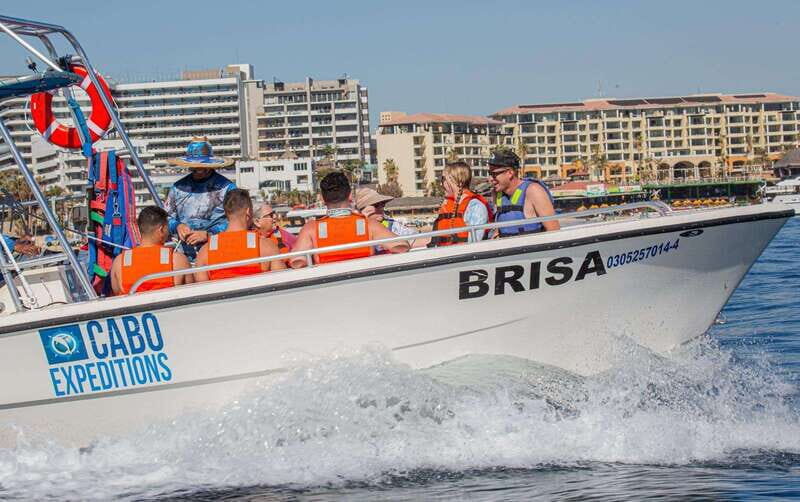 Cabo San Lucas: Parasailing Experience - Price and Value: Is $92 Worth It?
