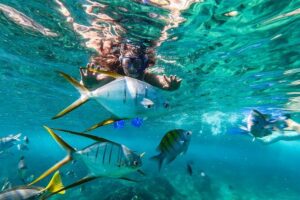 Cabo San Lucas Shopping, Tequila Tasting, and Snorkel Tour - Glassblowing Stop: A Small Time Investment With Real Payoff