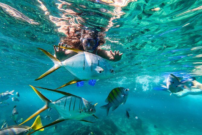 Cabo San Lucas Shopping, Tequila Tasting, and Snorkel Tour - Glassblowing Stop: A Small Time Investment With Real Payoff
