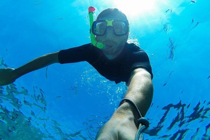 Cabo San Lucas Short Snorkeling Tour with Divemaster Guide - Key highlights to know before you go