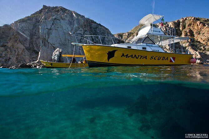 Cabo San Lucas Short Snorkeling Tour with Divemaster Guide - Price and value: $70 for fish time plus iconic Cabo views