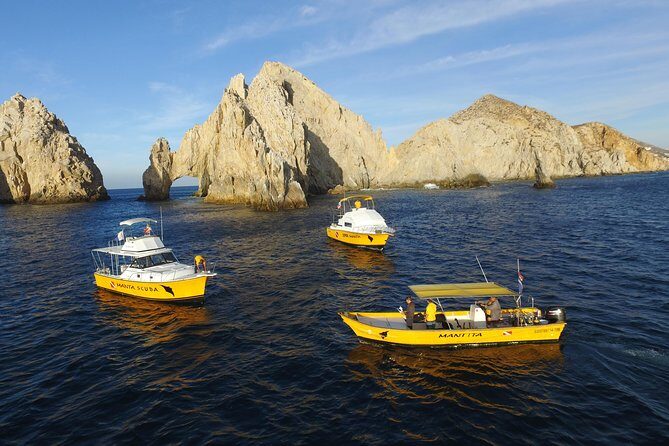 Cabo San Lucas Short Snorkeling Tour with Divemaster Guide - Should you book this short Cabo snorkeling tour?