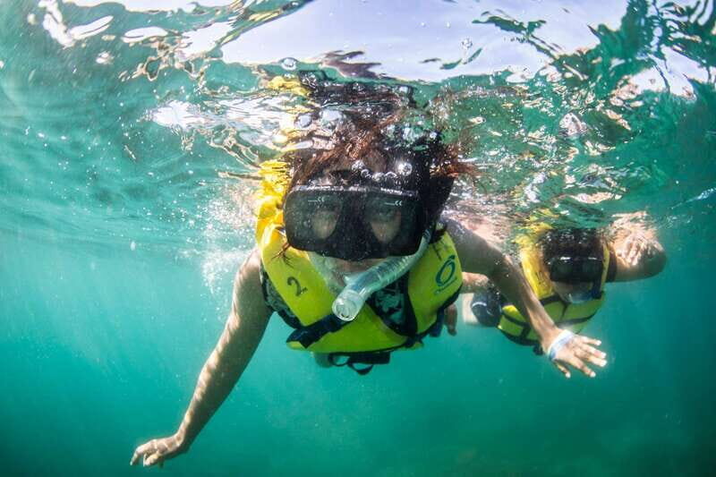 Cabo San Lucas: Snorkel, Lunch and Sail Experience - Cabo from the water: why this tour is worth your time