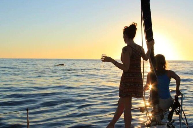 Cabo San Lucas Sunset Sailing Shared Cruise - How rough is it really? Boat size, wind, and motion