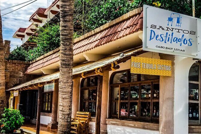 Cabo San Lucas Tequila Tasting Experience - Key Points You’ll Actually Care About