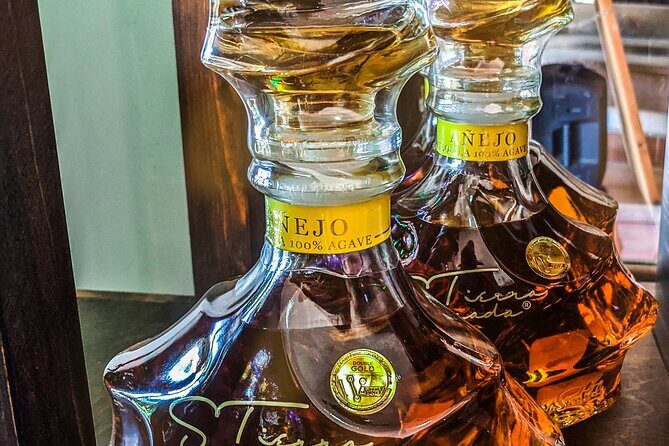 Cabo San Lucas Tequila Tasting Experience - How the Tasting Works: Learn to Sip Like You Mean It