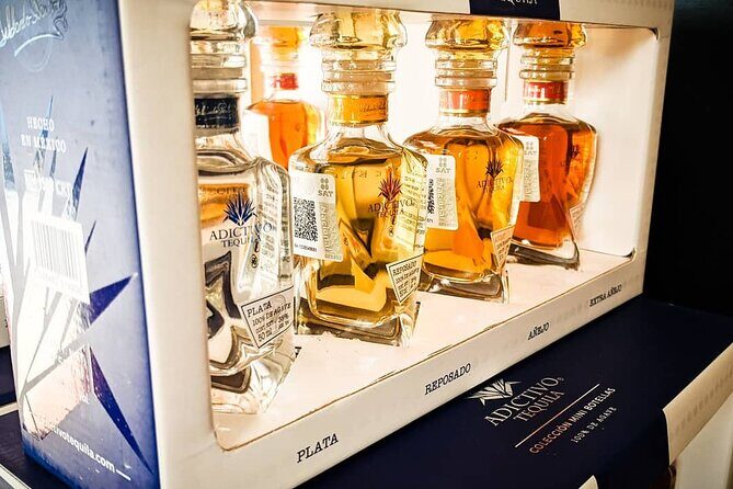 Cabo San Lucas Tequila Tasting Experience - Where to Fit It Into Your Cabo Day