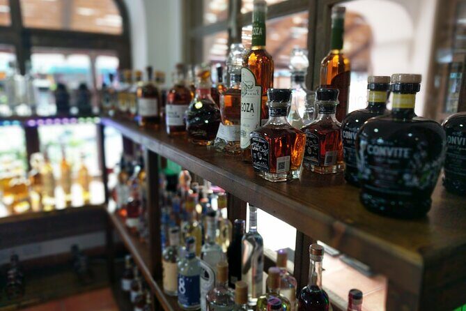 Cabo San Lucas Tequila Tasting Experience - Who Should Book This (and Who Might Skip It)