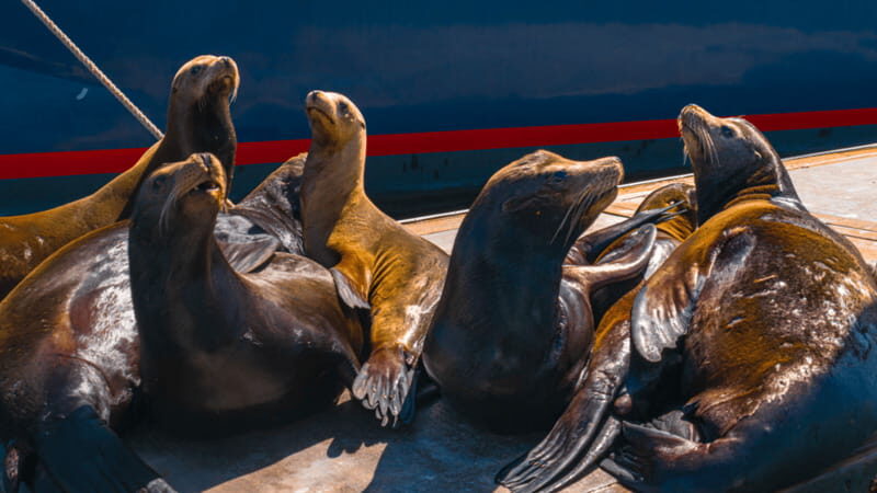 Cabo San Lucas: Tour paseo al Arco + bajada en playa - Key Things You’ll Notice