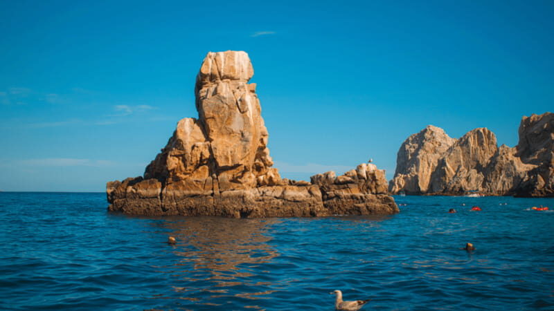 Cabo San Lucas: Tour paseo al Arco + bajada en playa - From Pochos Cabos Activities to the Dock: How the Morning Starts
