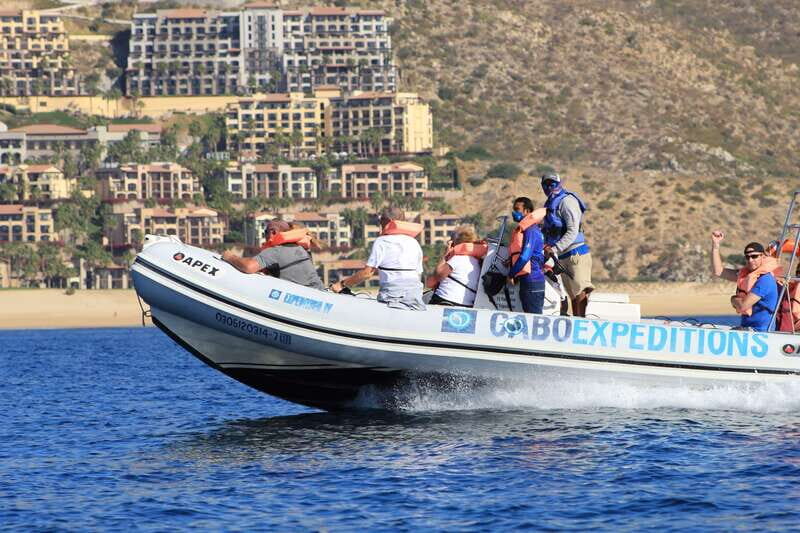Cabo San Lucas: Up-Close Whale Watching Small-Group Tour - La Terminal de Cabo: What Happens Before You Hit Open Water