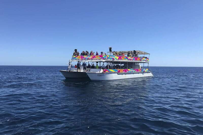 Cabo San Lucas: Whale Watching Breakfast Cruise - Breakfast Buffet and Open Bar: A Real Cabo Morning Meal