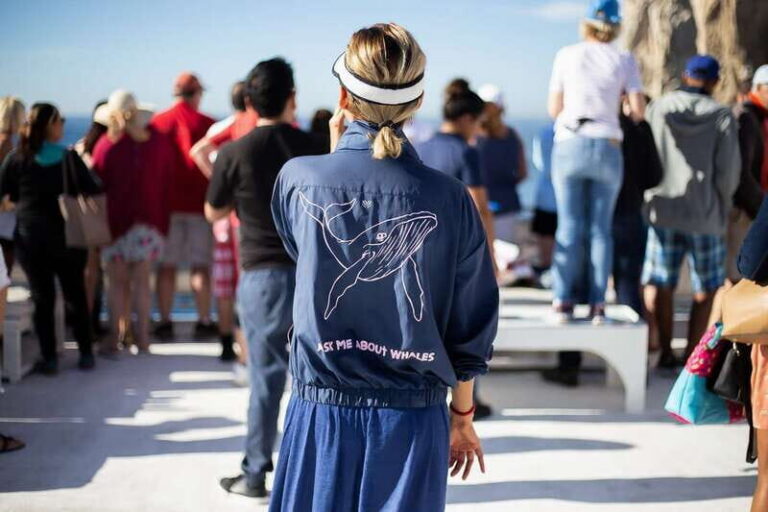 Cabo San Lucas: Whale Watching Breakfast Cruise - Cruising Cabo San Lucas: The Arch View From a Twin-Level Catamaran