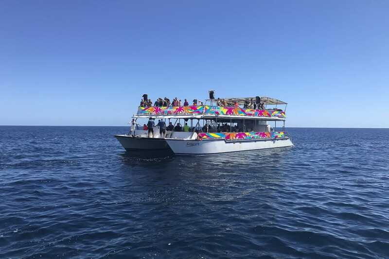 Cabo San Lucas: Whale Watching Breakfast Cruise - Price and Value: Is $99 Worth It?
