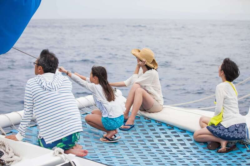 Cabo San Lucas: Whale Watching Catamaran Experience - Should you book this Cabo whale watching catamaran with Pez Gato?