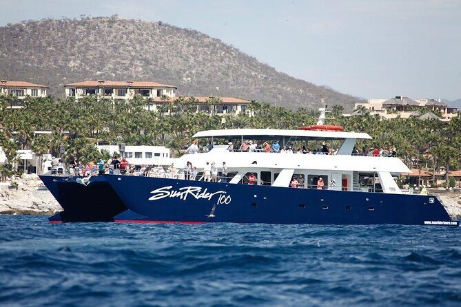 Cabo San Lucas Whale Watching Lunch Cruise - Getting On Board at Marina Cabo San Lucas