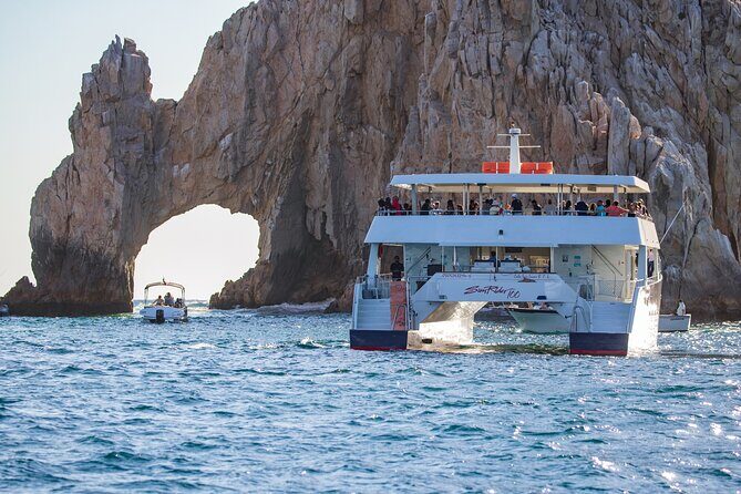Cabo San Lucas Whale Watching Lunch Cruise - Crew Energy: Service That Feels Like a Plan